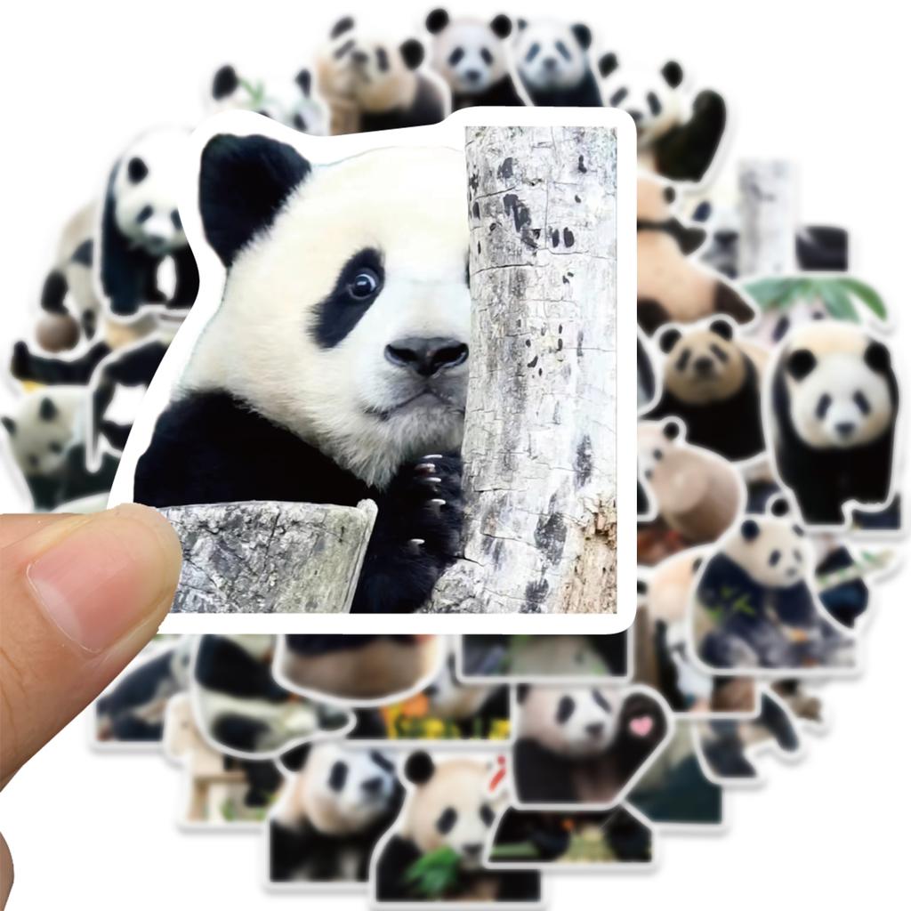 50PCS Cute Panda Cartoon Animals Graffiti Stickers DIY Phone Guitar Laptop Notebook Suitcase Cup Waterproof Sticker Kids Toy
