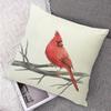 Farmhouse Summer Pillow Covers 18x18 Inch Bird Decorative Outdoor Square Linen Pillowcase Cushion Case for Sofa Couch