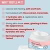 Glamveda Rice & Ceramide Face Moisturizer Cream For Dry & Oily Skin | Skin Barrier Building & Nourishing | Fine Lines Wrinkles, Age Spots & Hyperp
