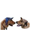 Fashion G-shaped Corduroy Dog Sun Hat Breathable Baseball Hat for Pet Outdoor Travel Use