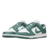 Nike Dunk Low Next Nature Bicoastal