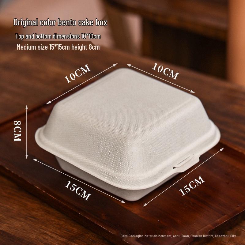 Disposable Hand-Painted INS Style Cake & Dessert Picnic Box