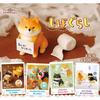 Collectible Pvc Shiba Inu Blind Box Figurines Eight Different Reflective Dog Models