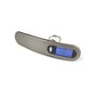 50kg/10g Luggage Scale Portable Electronic Hook Scale Fishing Express Parcel Weighing Scale