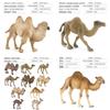 Wildlife Pvc Model Collection With Realistic Desert Camels For Classroom Decor