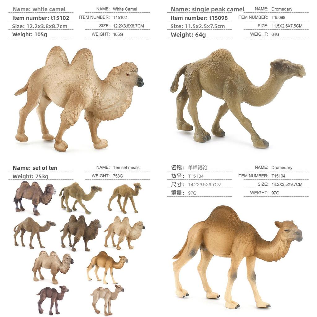 Wildlife Pvc Model Collection With Realistic Desert Camels For Classroom Decor