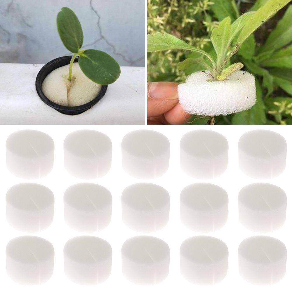 

10/50pcs Garden Supplies Planting Aquarium Nursery Sponge Seed Trays Flower Pots Soilless Hydroponic 32mm-50pcs чорний