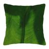 Decorative Cushion for Home Living Room Decor Throw Pillowcase Pillow Cover 45*45 40*40 60x60cm 45x45cm 50x50cm Boho Plant Leaf