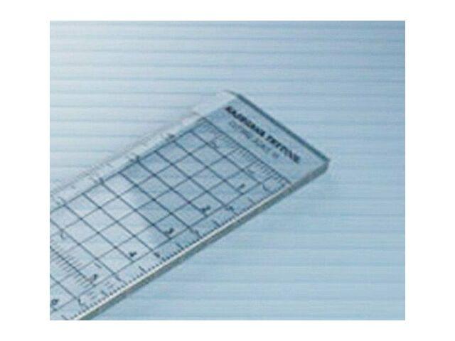 Hasegawa Schnittskala (15 cm) (Hobby-Tool) TT40 NEU aus Japan