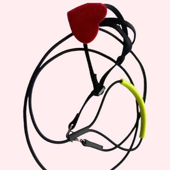 Papagei Leine Super Weich Verschleiß Beständig Emulsion Outdoor Papagei Fliegen Ausbildung Seil für