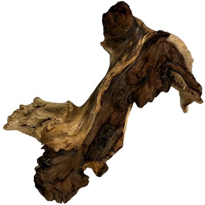 Korzeń Mopani 21-30 Cm