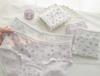 A-class baby cotton women's underwear 10A pure cotton antibacterial crotch breathable and skin friendly girl style triangle pants