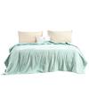 FUANNA 100% Tussah Silk Antibacterial Quilt