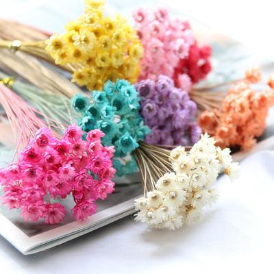 Dry Flower Wedding Party Essential Decorations For Home Home Décor Accents DIY-friendly Pressed Flowers For Party Floral