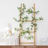 Rozenrank Kunstbloem: Plastic Plant voor Woonkamer, Airconditioningsbuis, Balkondecoratie, of Wandbekleding