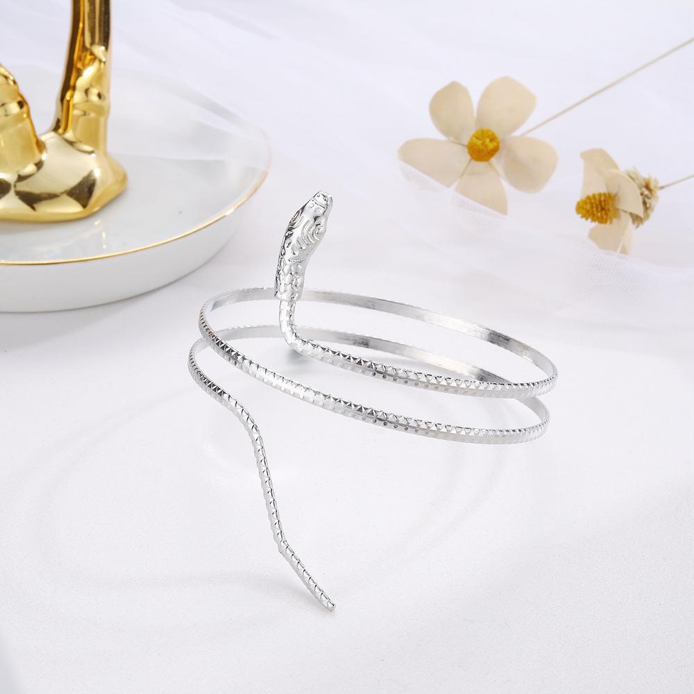 Punk Style Exaggerated Snake Bracelet, Personalized Popular Alloy Snake Element Bracelet
