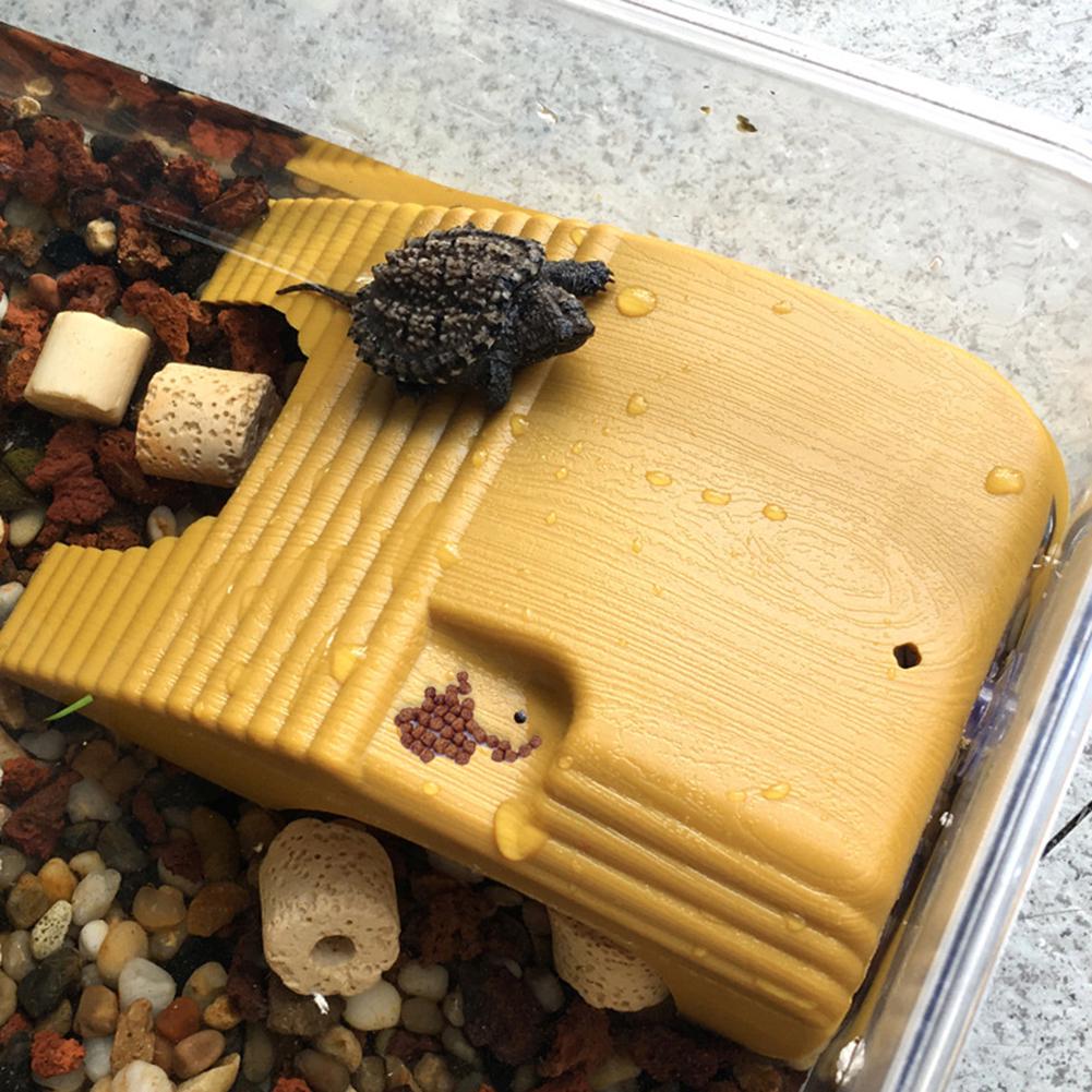 Aquarium Basking Staircase Floating Tank Turtle  Reptile