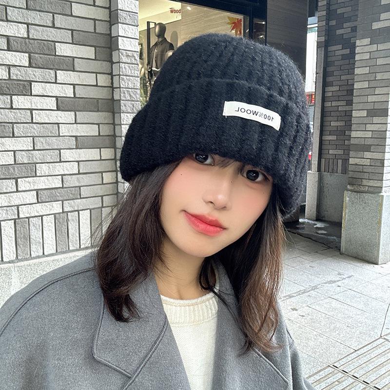 Luochi Knitting Plain Wool Knit Hat - Thick, Warm, Versatile Couple's Hat for Autumn & Winter Korean Style