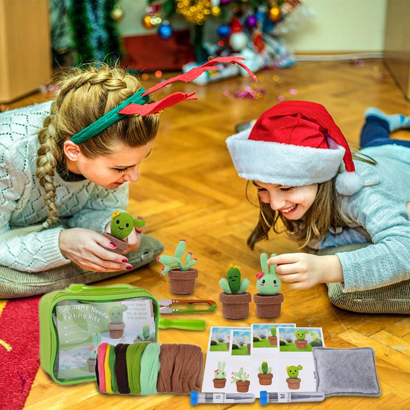 Needle Felting Supplies Succulent Needle Felting Beginner Kits Felting Beginner Kit Needle Felt Kit Wool Felting Kit For france