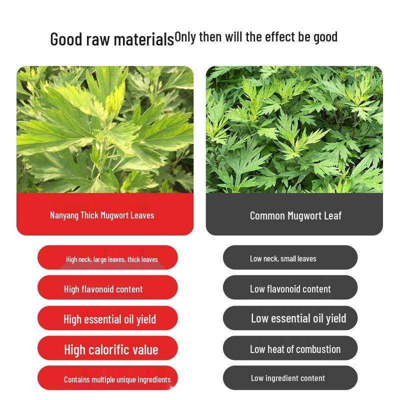 Mugwort 500g Pack: Dragon Boat Festival Foot & Bath Use, Dried Pure Leaves, Three-Year Aged Mugwort Bagged