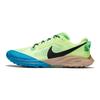 Air Zoom Terra Kiger 6