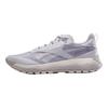 Reebok DMX Trail GORE-TEX Grey Stone Chalk Unisex Sneakers 100200884