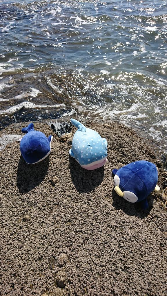 Livheart Mascot Marshmallow Animal Kanaloa the Whale length Fluffy and Squishy (Total approx. 14cm) 48657-63