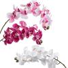 10 Heads 72cm Artificial Flower Phalaenopsis Latex Silicon Real Touch Big Orchid Orchidee Wedding Home Decoration