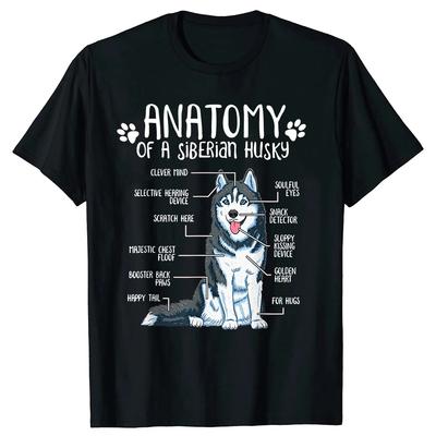 Top – T-shirts