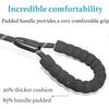 Durable Slip Lead Dog Leash with Padded Handle and Highly Reflective Threads, No Pull Dog Training Leash, (1/2" x 6 FT, Black)