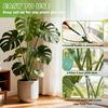 Plastic Climbing Vine Stake Prevent Tipping Over Garden Plant Stake Flower Support Rack  Greenhouse