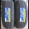 Dunlop Grandtrek AT20 265/65R17 112S Tires