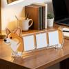 3 Inches Acrylic Photo Frame Animal Shape Photo Display Frame  Photo Display