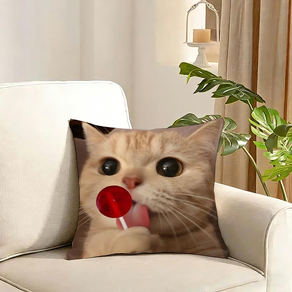 Cute Pet Animal Cushion Cover Reversible Plush Pillow Cover Soft Fluffy Home Decor for Sofa Bedroom