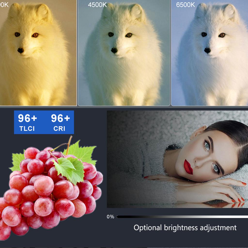 40W RGB Portable LED Video Light 3400mAh Build In Battery Adjustable Color Temperature COB Handheld Spotlight