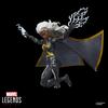 Marvel Legends Series Storm Action Figure X-Men