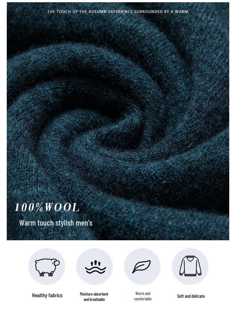 Men's 2025 Autumn/Winter Pure Wool Round Neck Sweater - Solid Color Knit