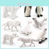Conjunto de Figuras de Animais Árticos Realistas Incluindo Pinguim Urso Polar Raposa Ártica Foca Lobo e Coruja Para Decoração de Casa