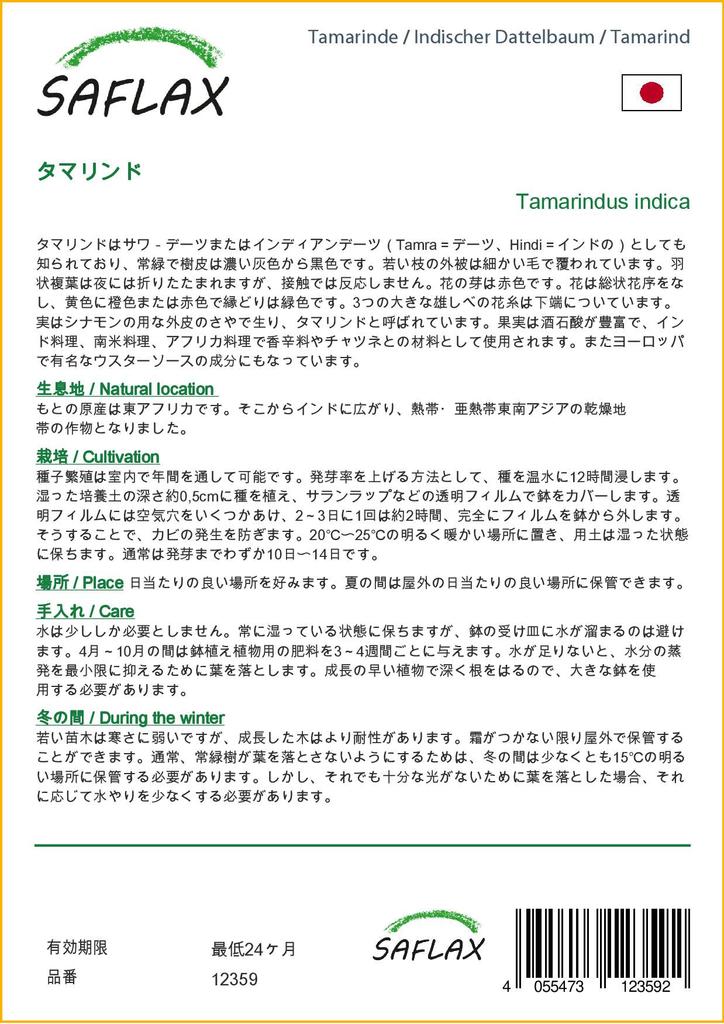 SAFLAX - Tamarind - 4 seeds - With potting substrate for better cultivation - Tamarindus indica