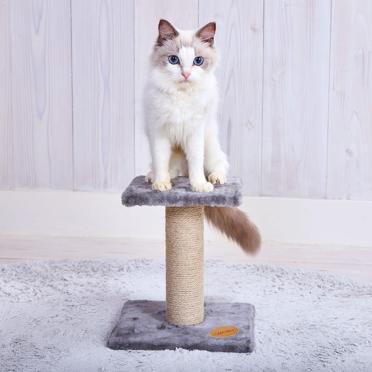 

MATE Cat Низкая Башня ADD. Башня,