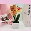 Three Butterfly Flowers Orchid Green Plant For Home Decoration Office