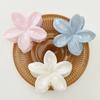 Farbverlauf Frangipani Haarspange Damen Vielseitig Süß Resort Fee Haifisch-Clip Vintage Haaraccessoires