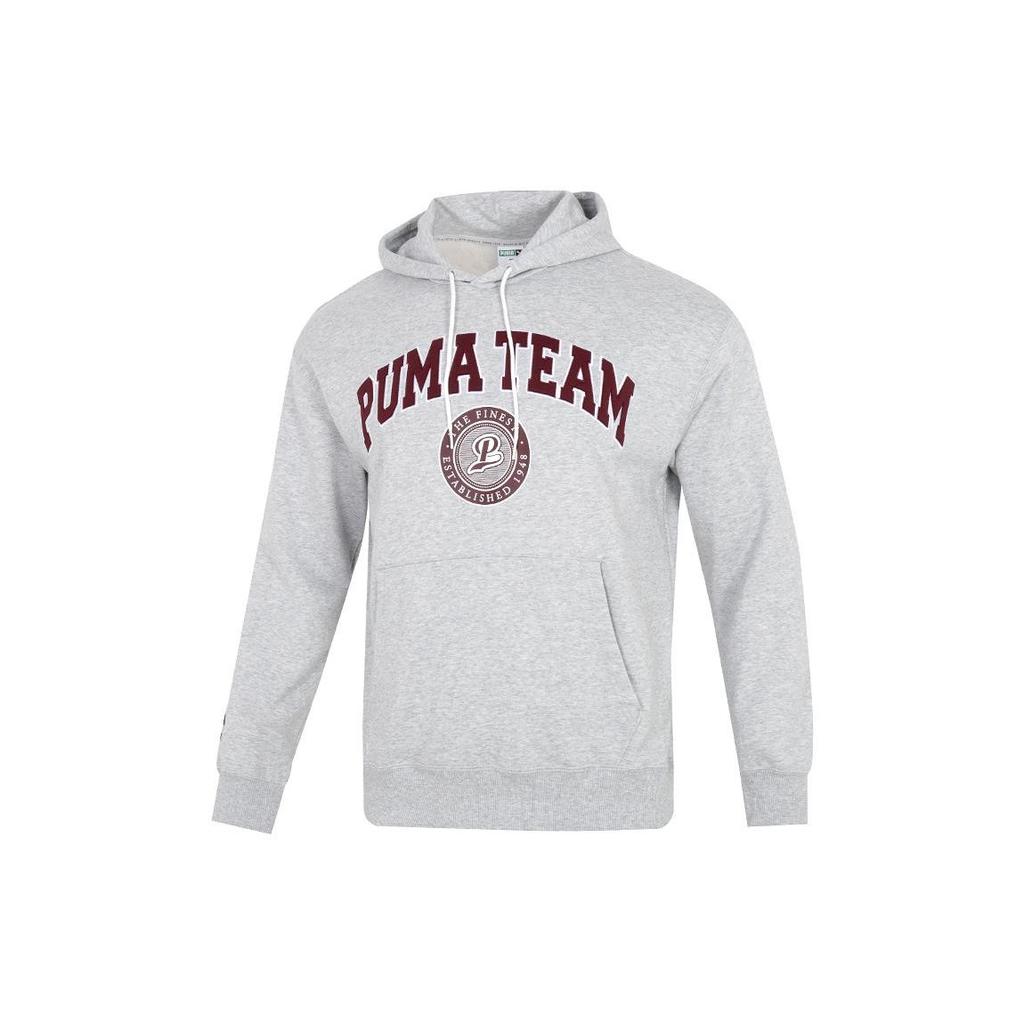 PUMA Winterized Series Kangaroo Pocket Print Hoodie Long Sleeve Sweatshirt Men Tops Grey 539274-04