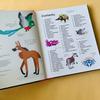 The World's Most Animals children's picture book, 3 volumes of popular science about strange animals in the world in English