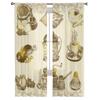 Vintage Coffee Set Sheer Curtains for Living Room Transparent Tulle Window Treatments Bedroom Kitchen Home Decor Veil Drapes