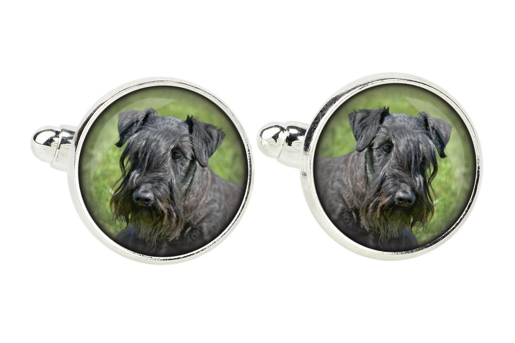 Cesky Terrier, Czech Terrier, Bohemian Terrier - cufflinks and tie with your photo, a suit decoration, men's jewelry from the Art-Dog brand.