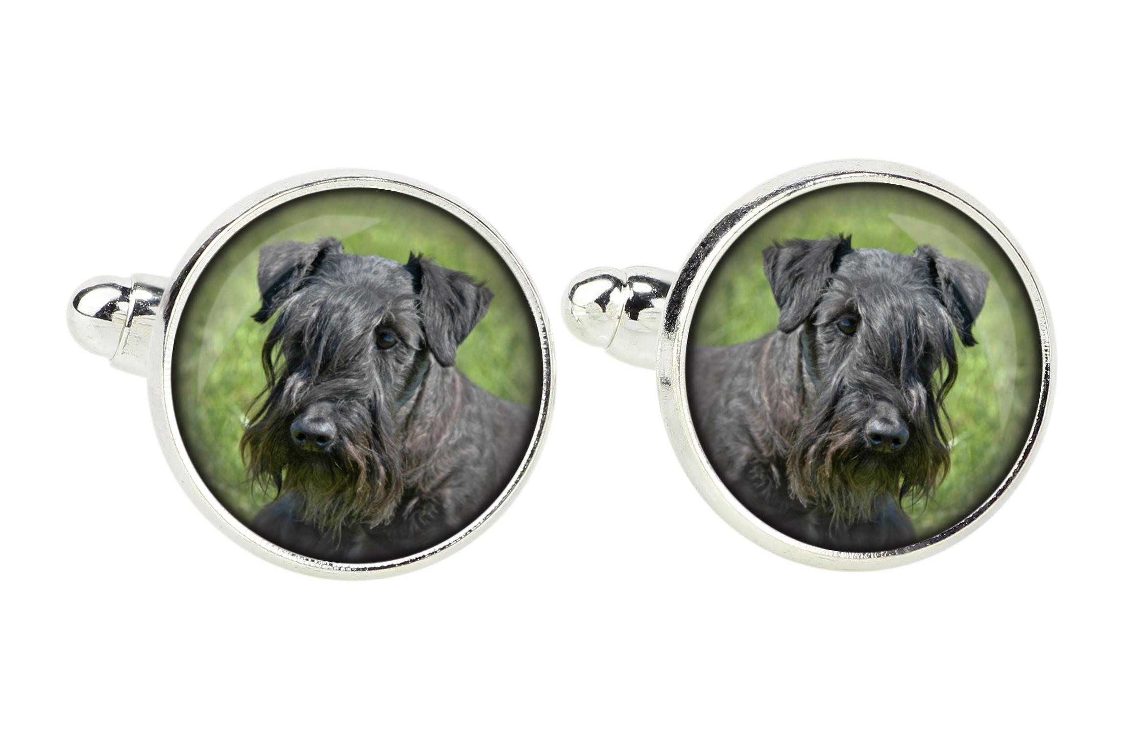 

Cesky Terrier, Czech Terrier, Bohemian Terrier - cufflinks, a shirt accessory, a shirt pendant from the Art-Dog brand срібний