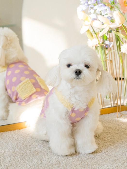 SALTYHEARTY Poggle Dot Top