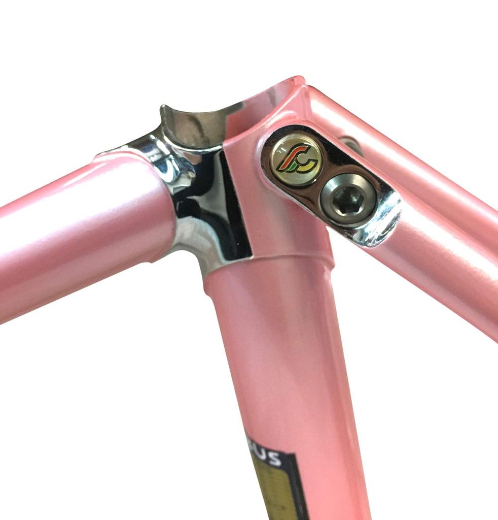 Cinelli Supercorsa Sattelplakette 737PSC Fahrradzubehör (Paar)