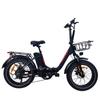 DZ2030 White/Black/Grey 48V16AH Battery 20 * 4.0-inch Tire City Ximano 7-speed 40KM/H Steering Tail Light Road Electric Bicycle